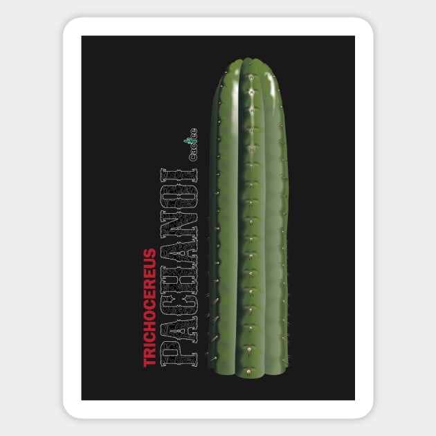 Trichocereus Pachanoi with Text Sticker by Cactee